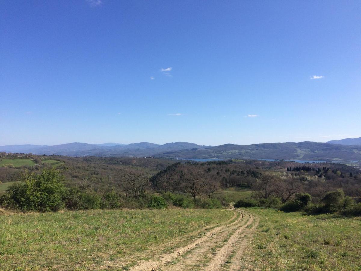 Agriturismo Corzano Barberino di Mugello Luaran gambar